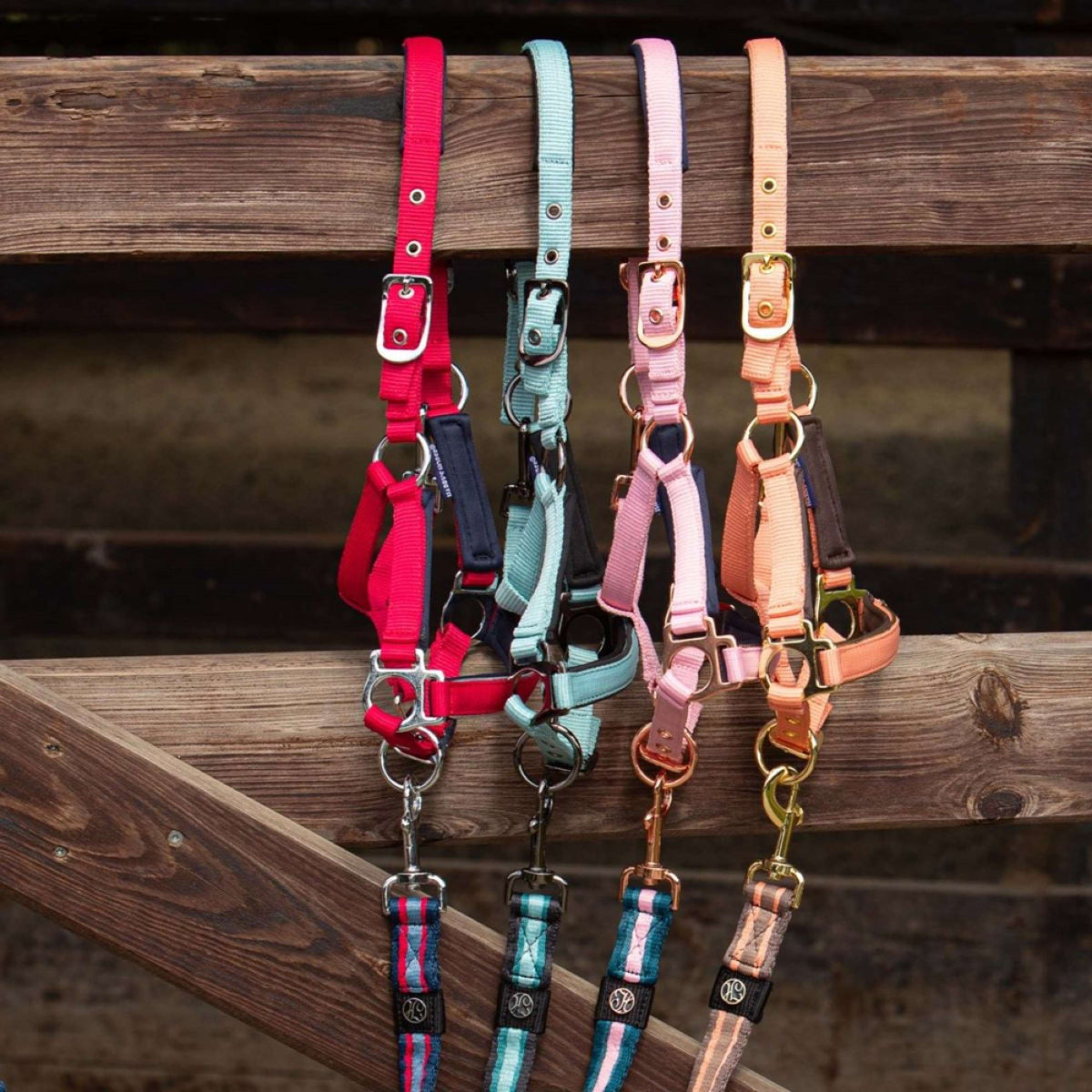 Harry's Horse Licol pour Poulain Metal Barberry