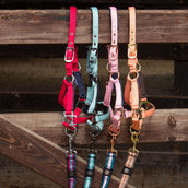 Harry's Horse Licol pour Poulain Metal Barberry