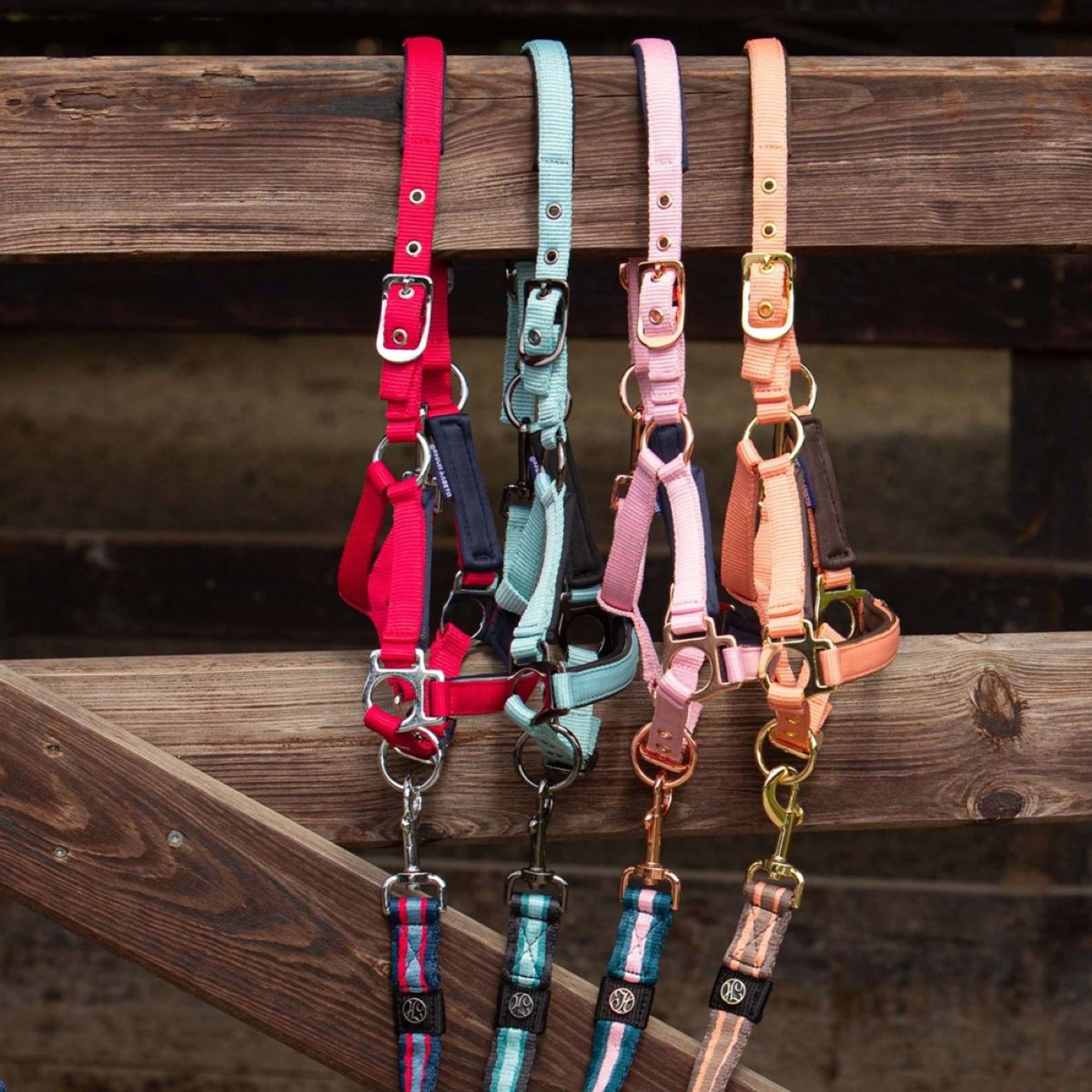 Harry's Horse Licol pour Poulain Metal Barberry