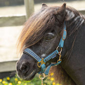 Harry's Horse Ensemble Licol Crystal Tapestry