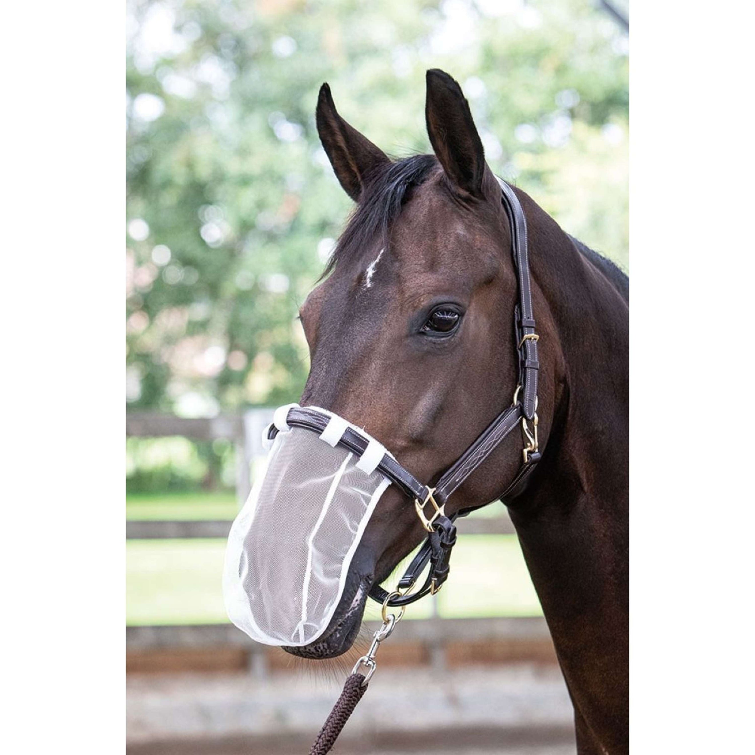 Harry's Horse Filet pour Naseaux Blanc Harry's Horse Filet pour Naseaux Blanc