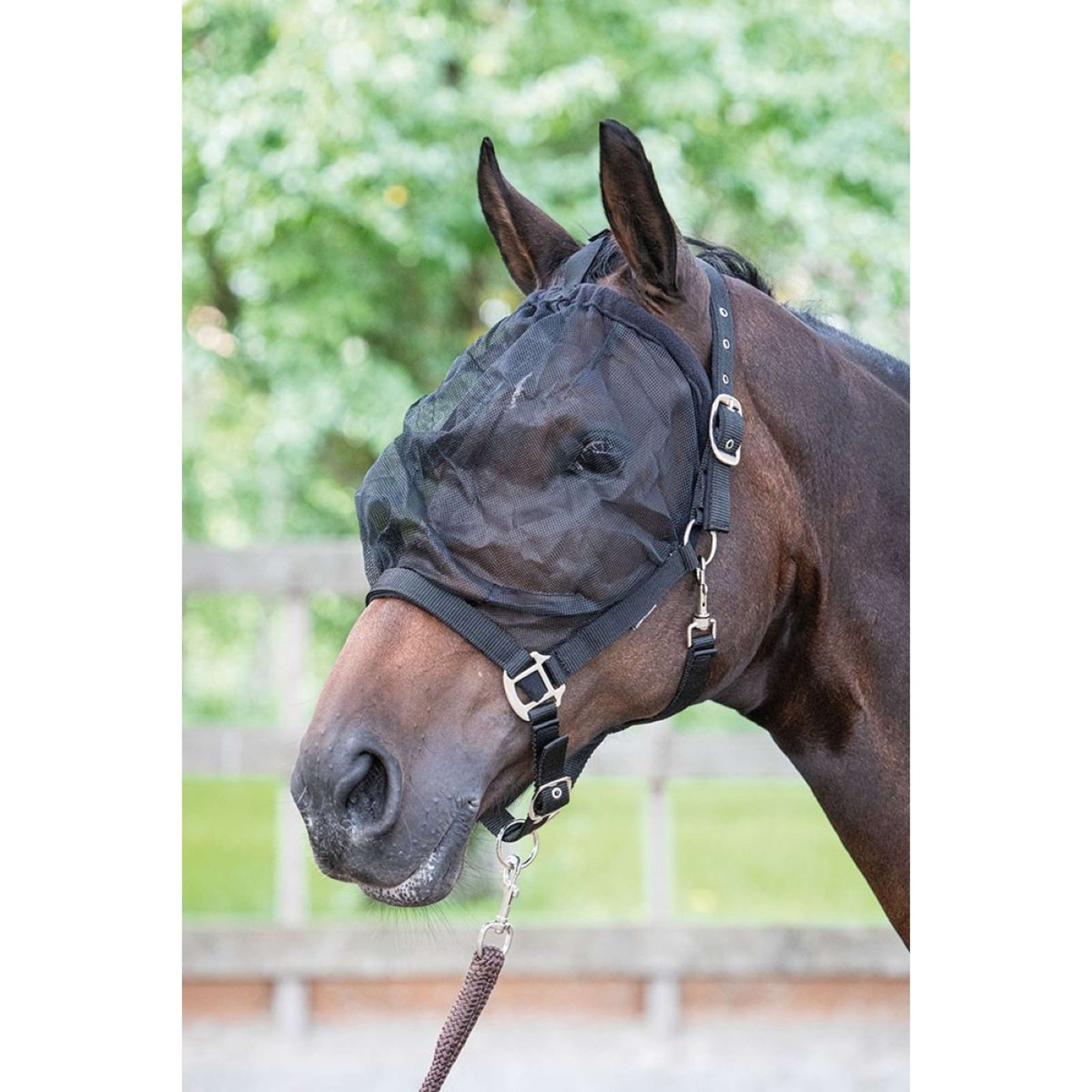 Harry's Horse Masque Anti-Mouches Licol Harry's Horse Masque Anti-Mouches Licol