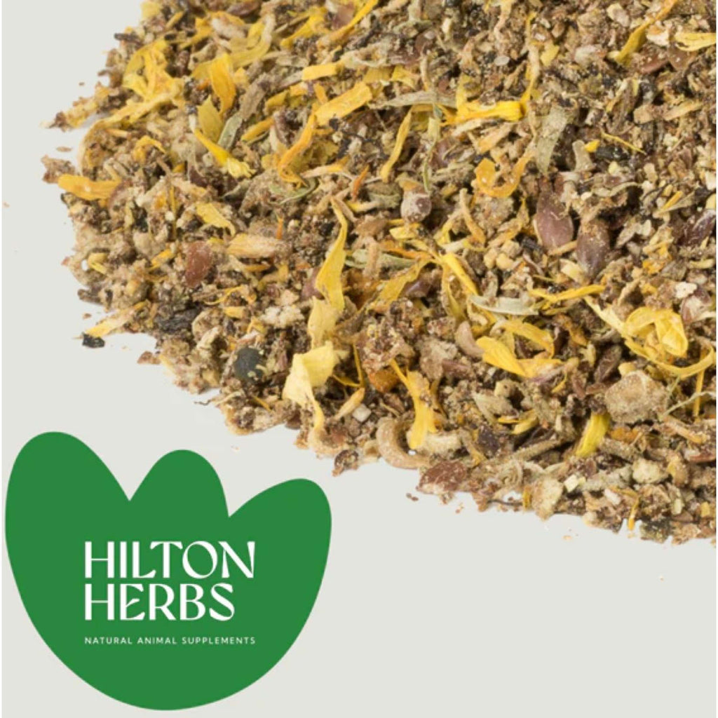 Hilton Herbs Skin Power