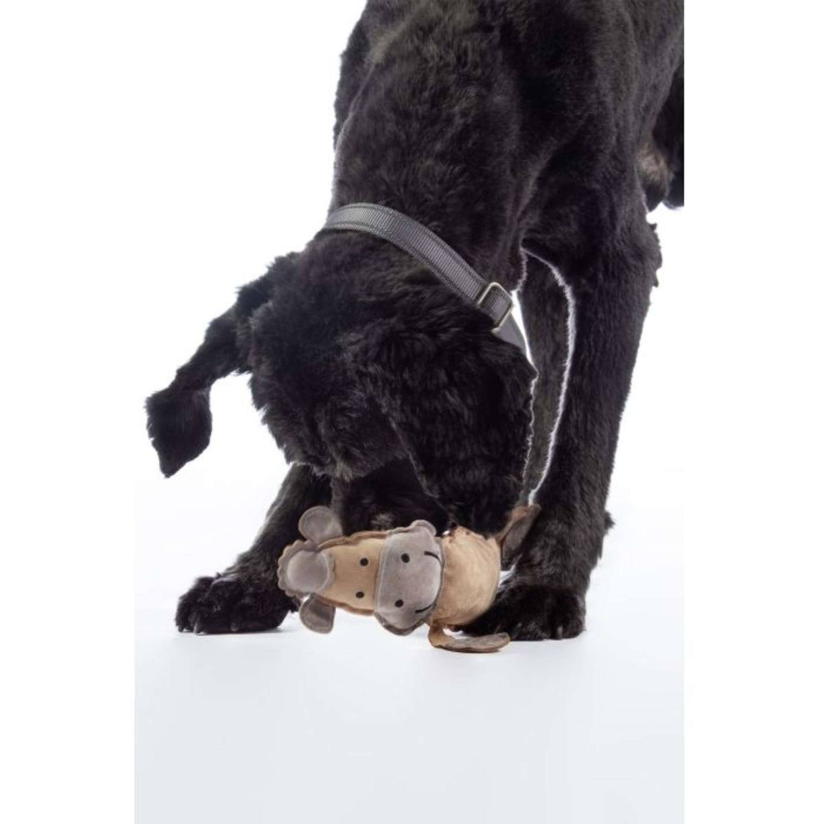 HKM Jouets pour Chien Buddy Cheval Nature/Gris clair HKM Jouets pour Chien Buddy Cheval Nature/Gris clair