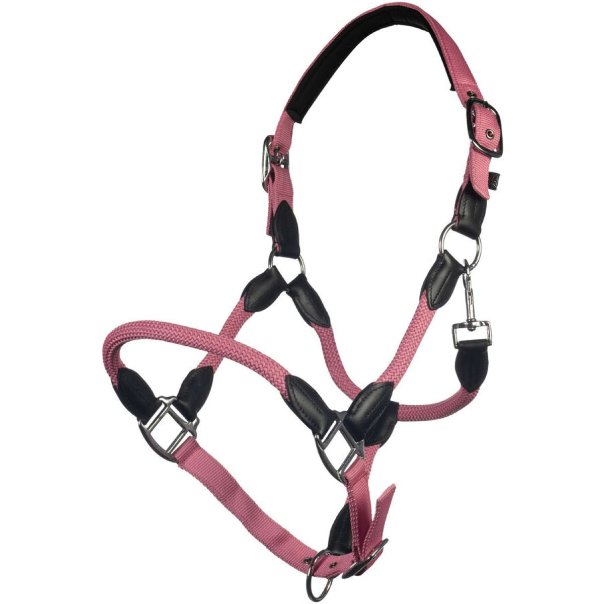 HKM Licol Carlotta Rose