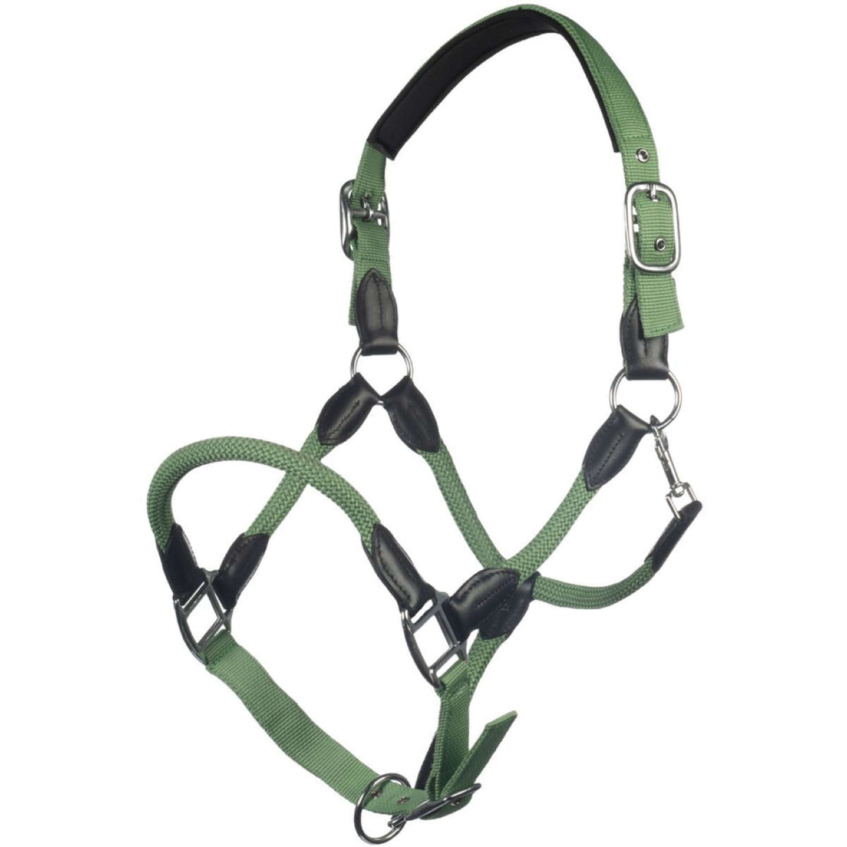 HKM Licol Carlotta Jade