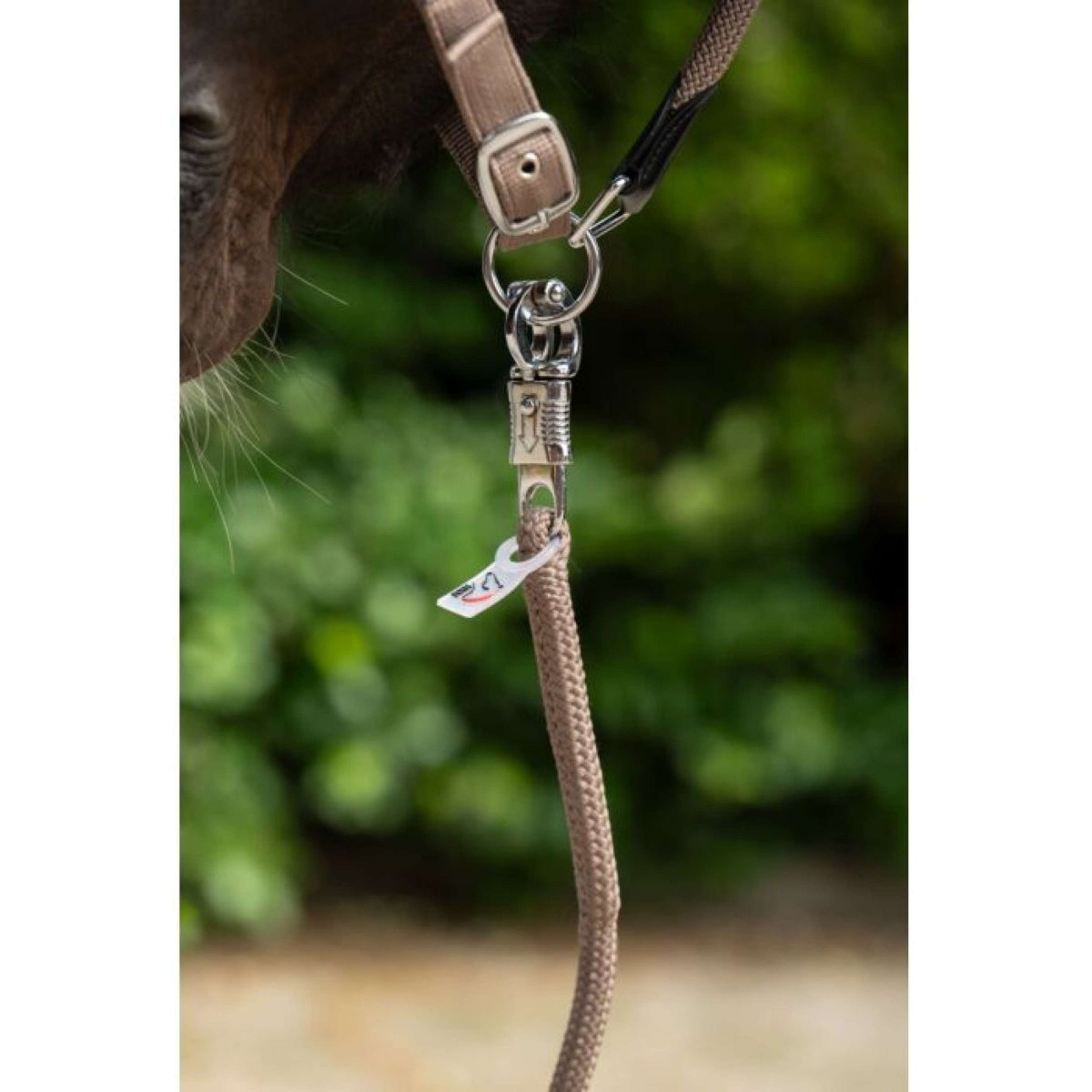 HKM Corde pour Licol Carlotta Crochet Panique Taupe HKM Corde pour Licol Carlotta Crochet Panique Taupe