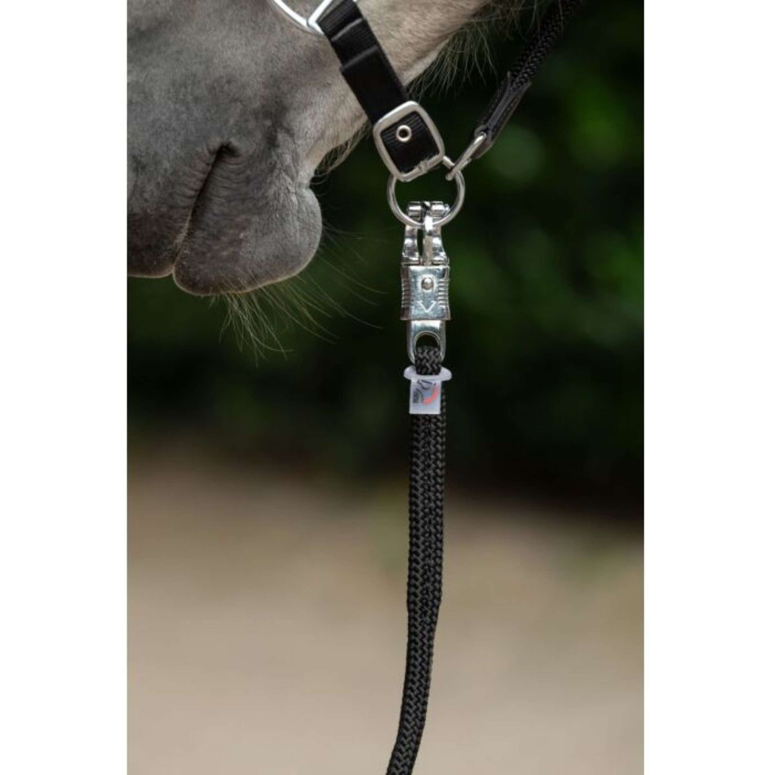 HKM Corde pour Licol Carlotta Crochet Panique Noir HKM Corde pour Licol Carlotta Crochet Panique Noir