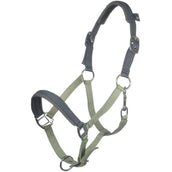 HKM Licol Barnie Vert clair/Vert foncé