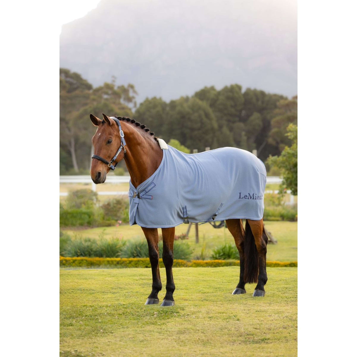 LeMieux Chemise Rafraîchissante Kudos Bamboo Powder Blue