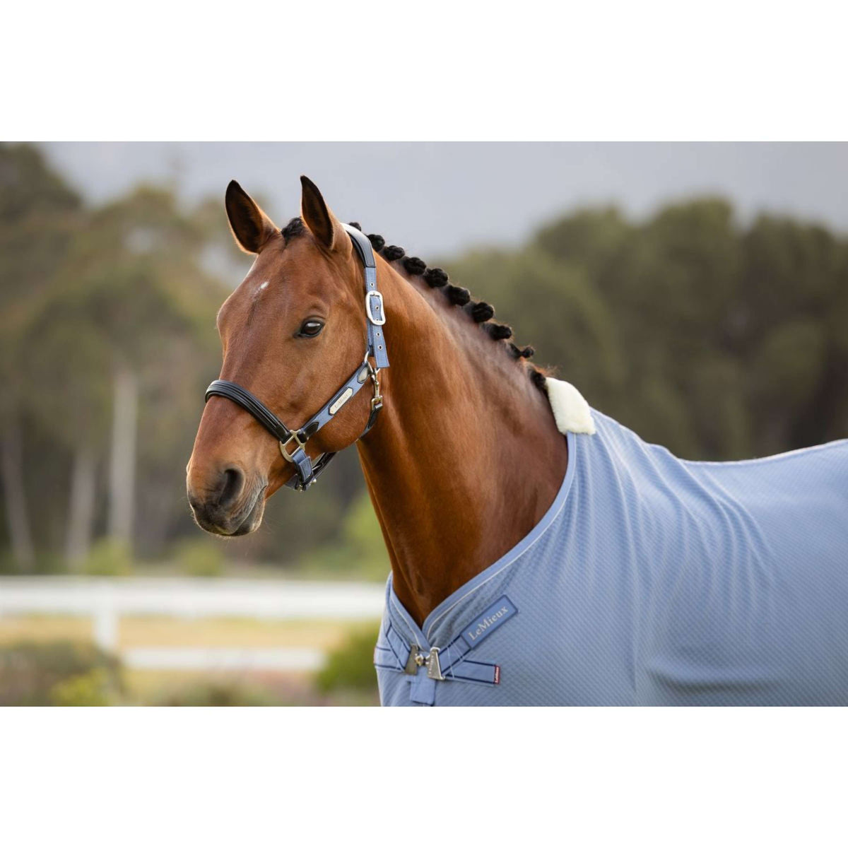 LeMieux Chemise Rafraîchissante Kudos Bamboo Powder Blue