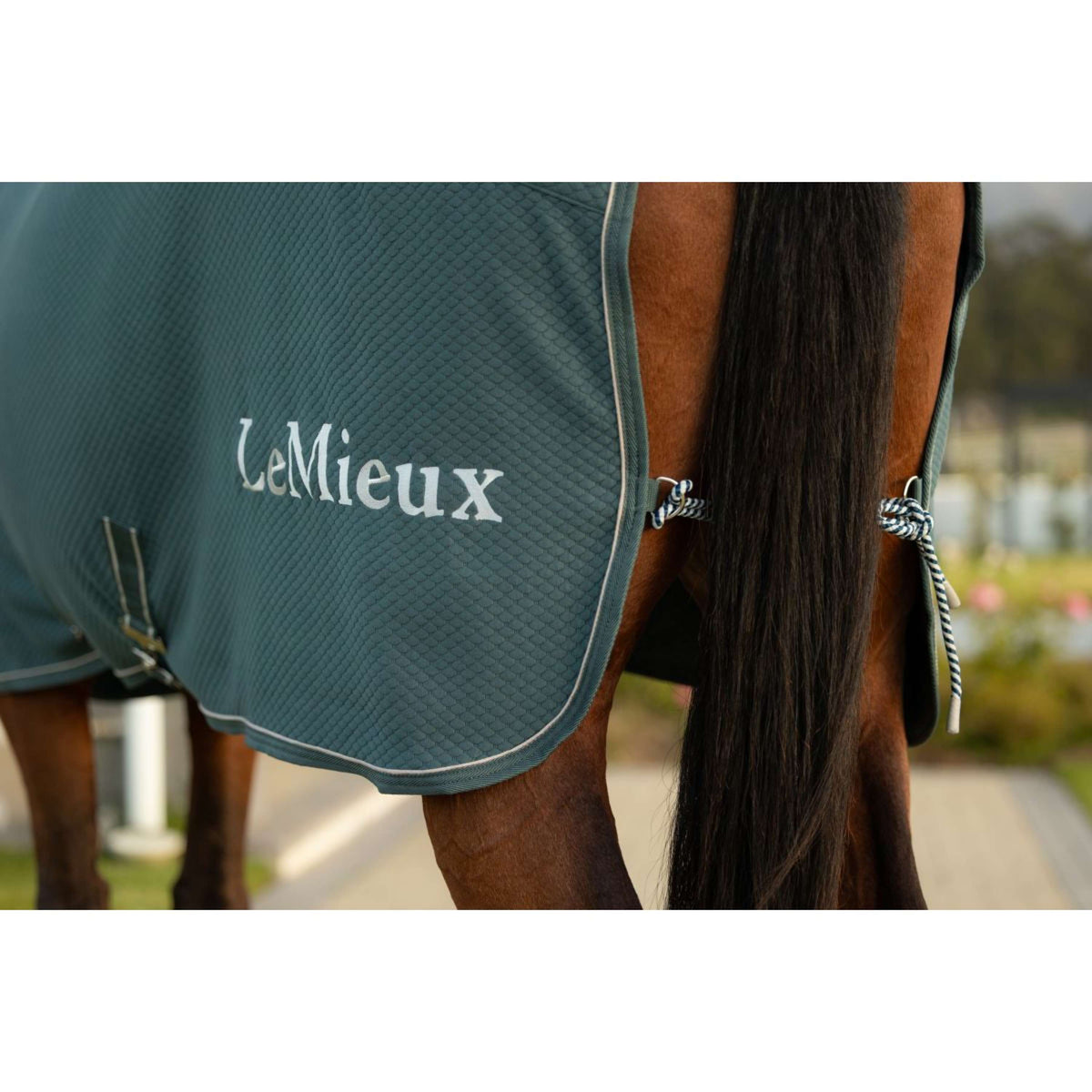 LeMieux Chemise Rafraîchissante Kudos Bamboo Jungle