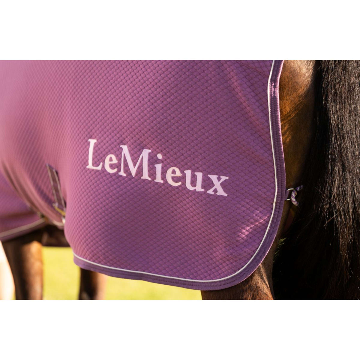 LeMieux Chemise Rafraîchissante Kudos Bamboo Mallow