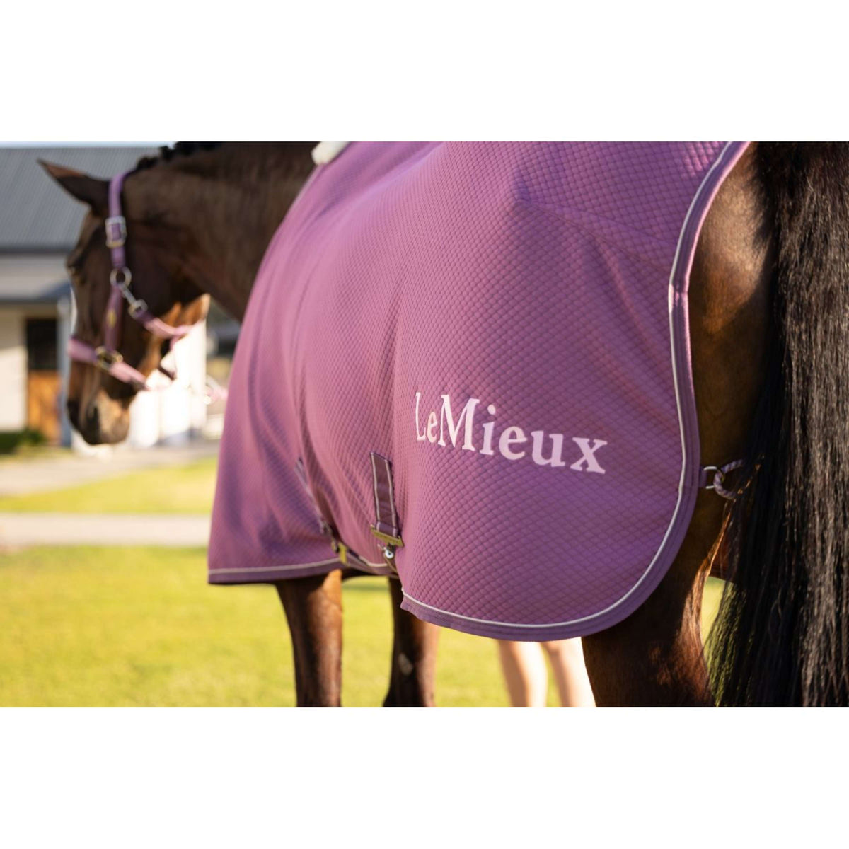 LeMieux Chemise Rafraîchissante Kudos Bamboo Mallow