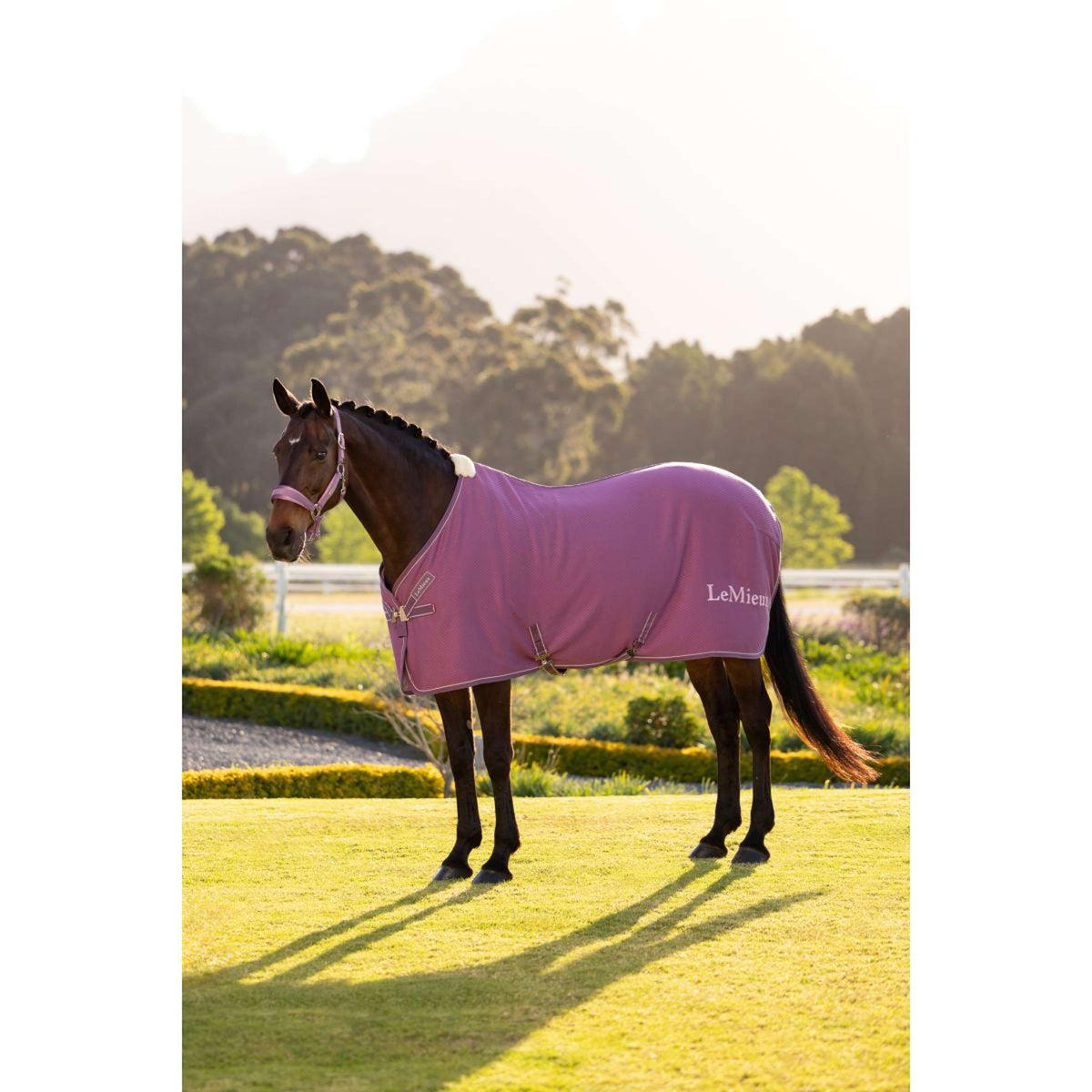 LeMieux Chemise Rafraîchissante Kudos Bamboo Mallow