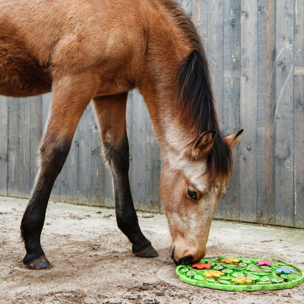 Excellent Tapis de Fouille Horse Flower Power