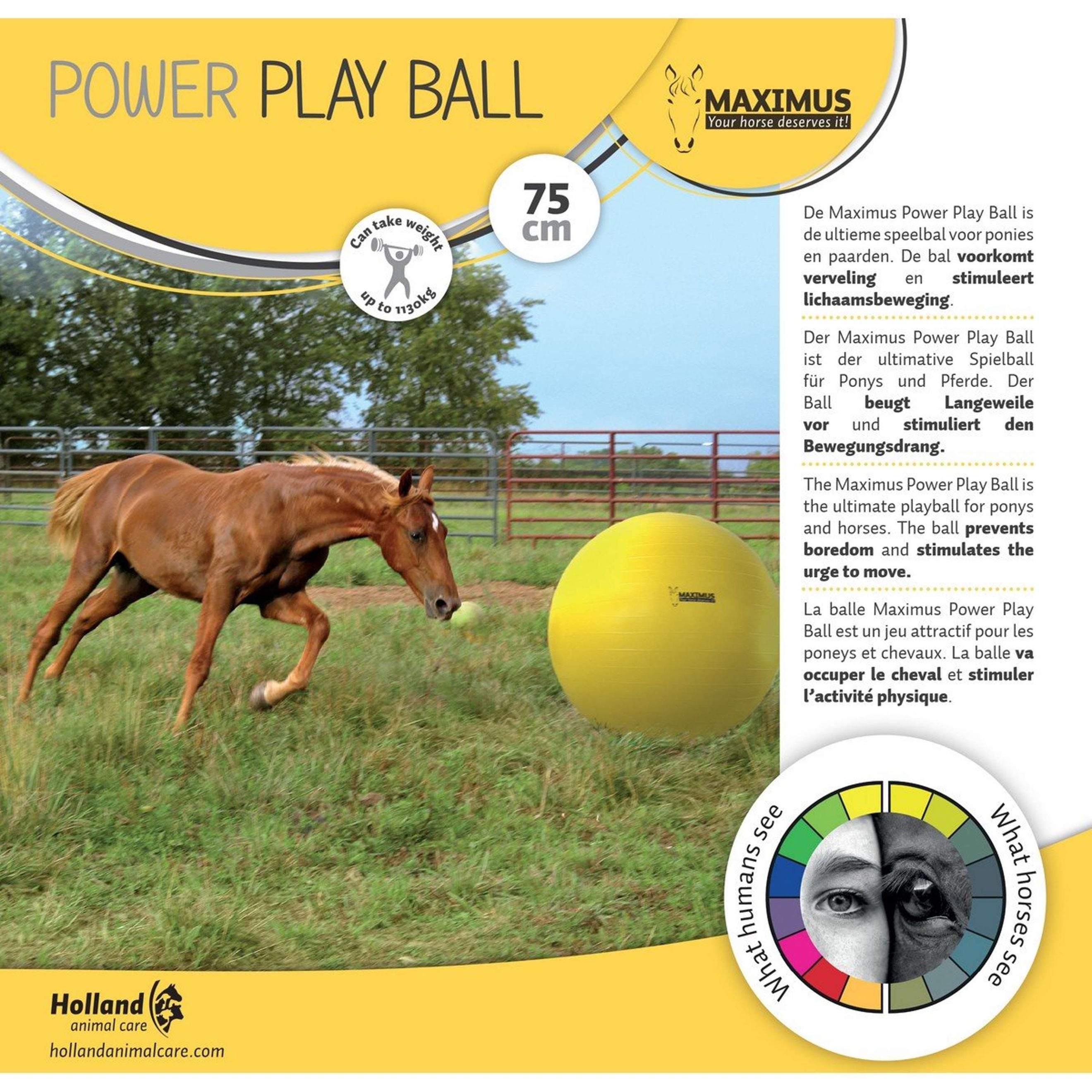 Maximus Balle Power Play Jaune Maximus Balle Power Play Jaune