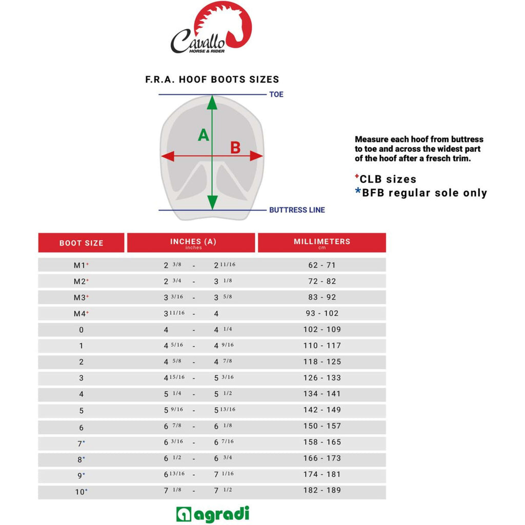 F.R.A. Cavallo Horse & Rider Chaussures pour Cheval CLB Regular Bling
