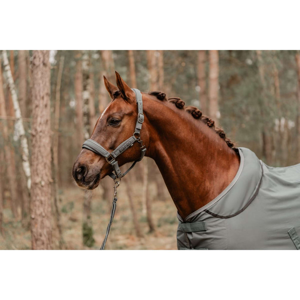 EQPRO Couverture Softshell avec Col Enroulable Shadow Steel