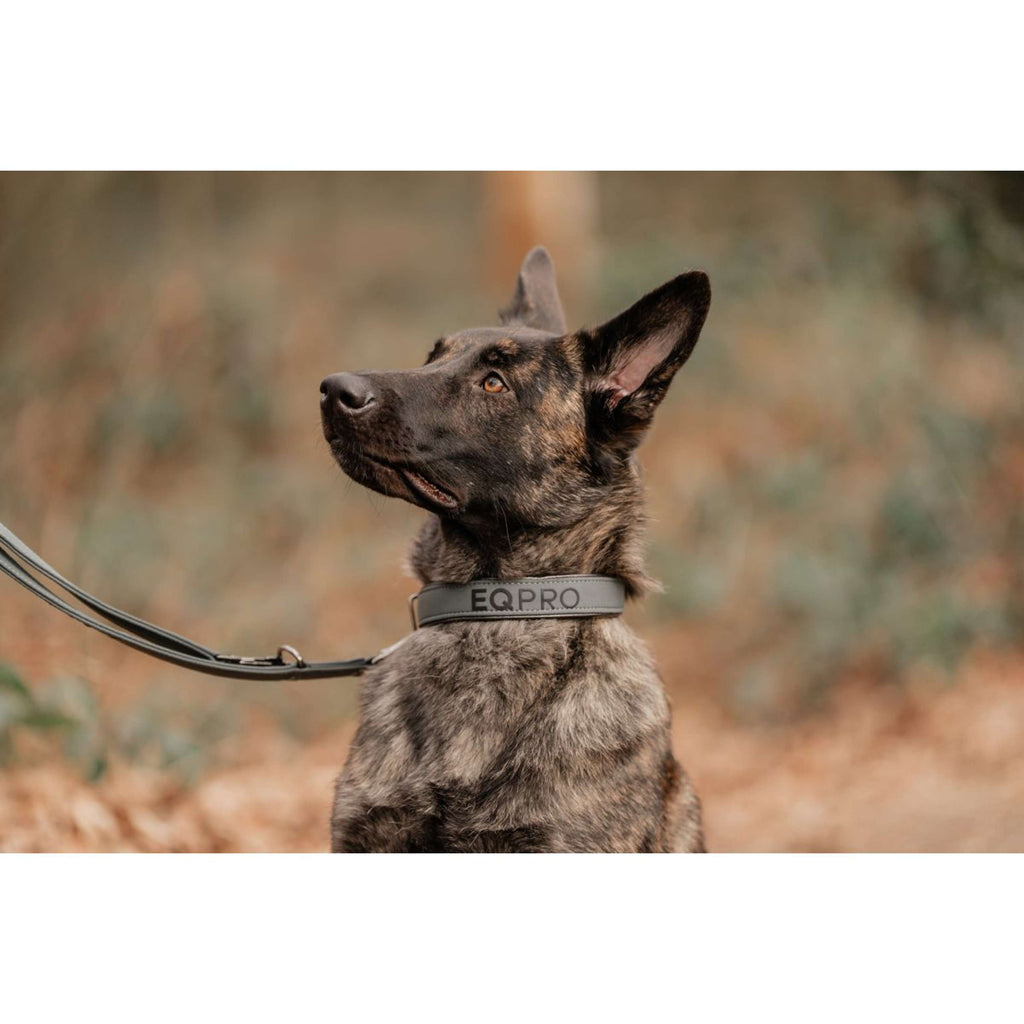 EQPRO Collier et Laisse Softshell Shadow Steel