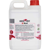 HorseFirst B Well