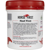 HorseFirst Hoof First
