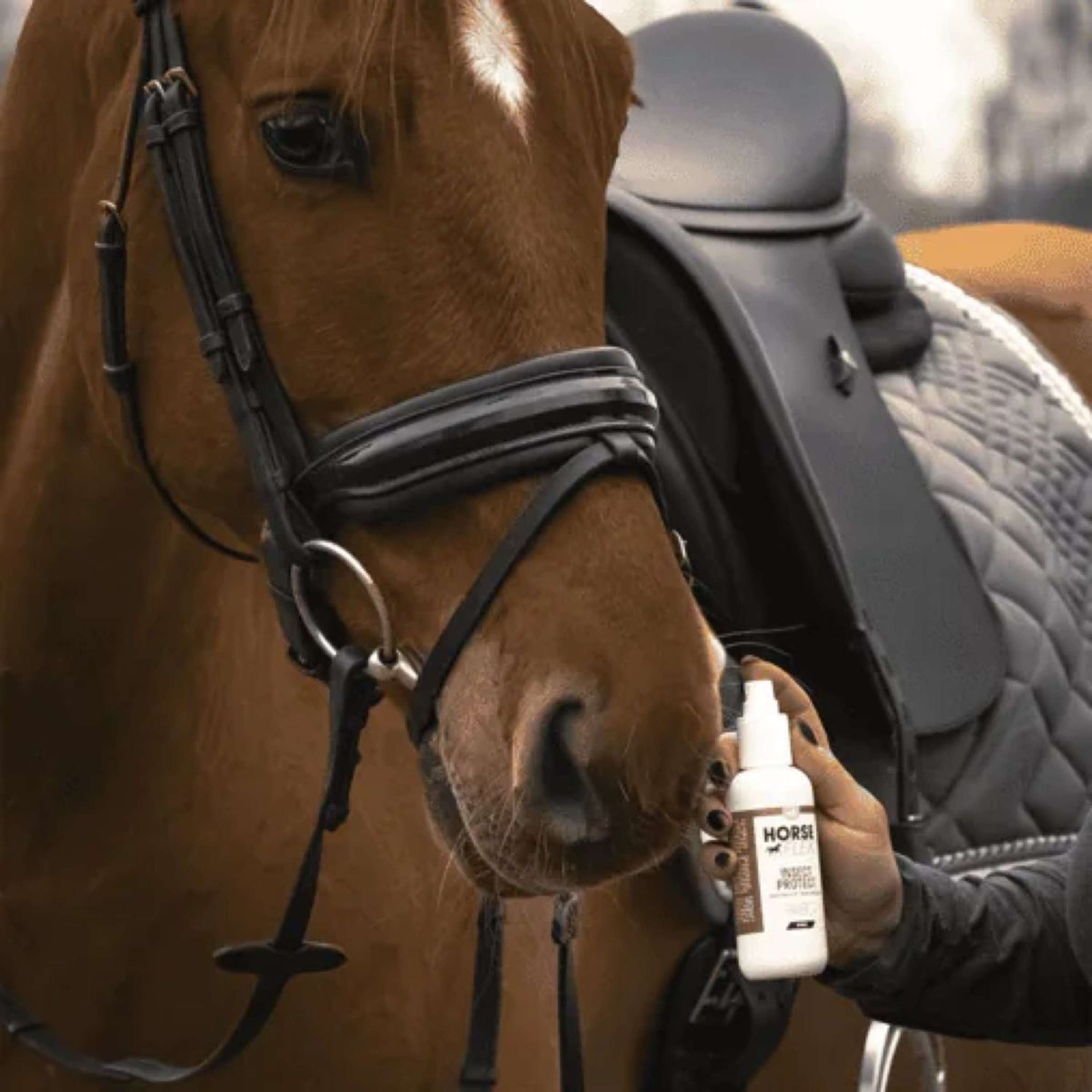 HorseFlex Insect Protect Spray HorseFlex Insect Protect Spray