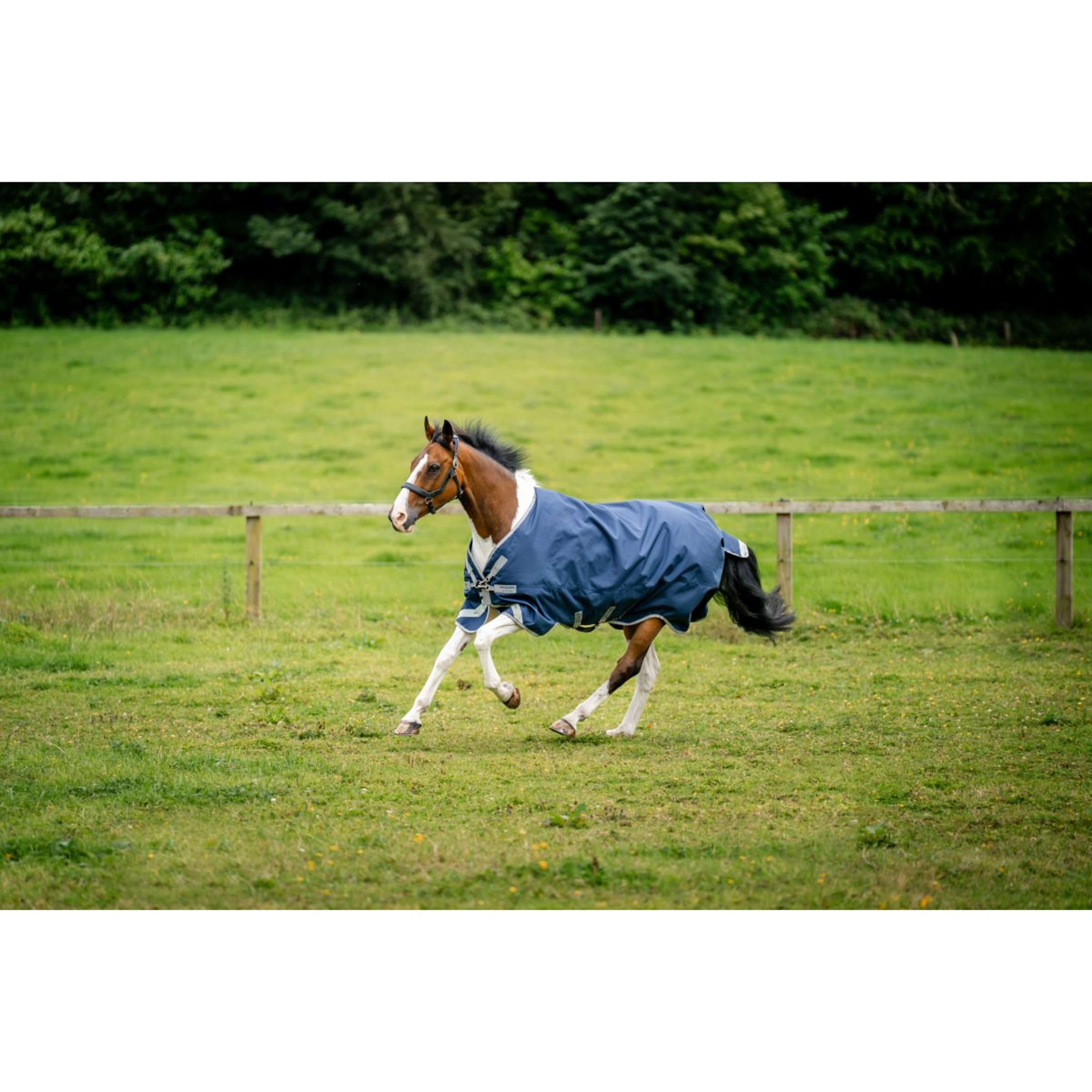Amigo Chemise Turnout 1200D XL 150g Navy/Titanium Grey/Silver