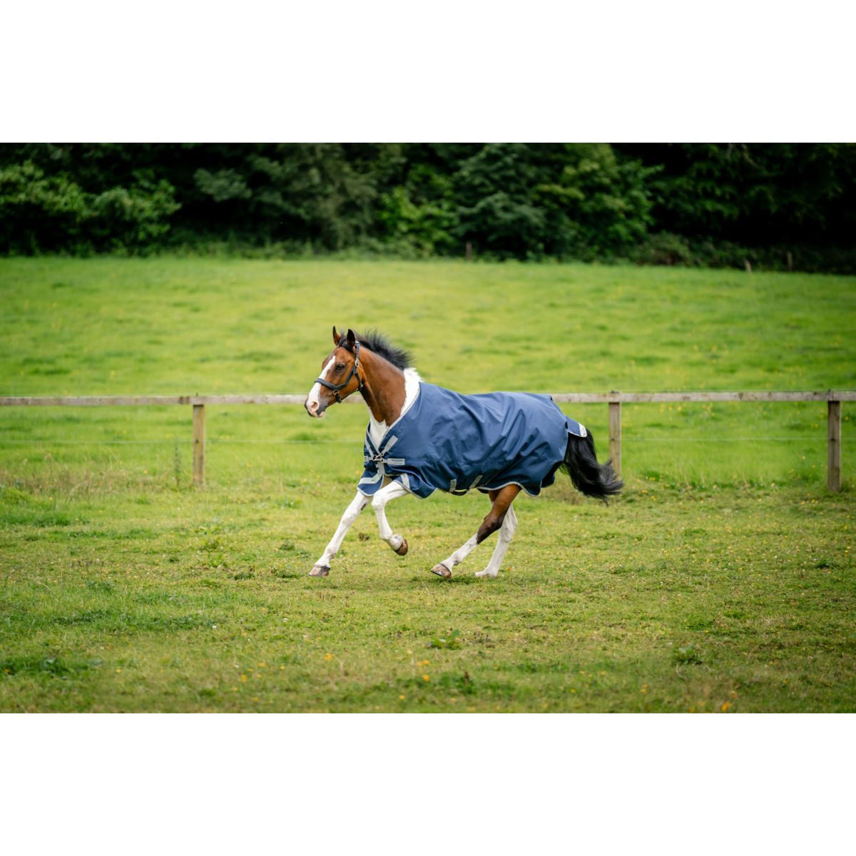 Amigo Chemise Turnout 1200D XL 150g Navy/Titanium Grey/Silver
