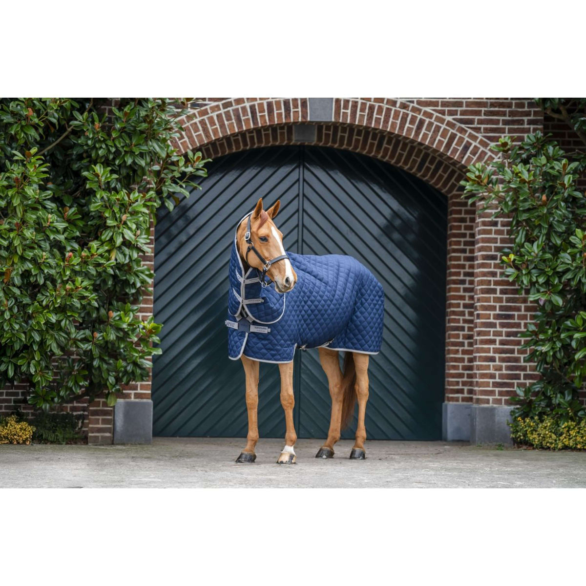 Amigo Quilted Stable Plus 200g Navy/Titanium Grey/Silver