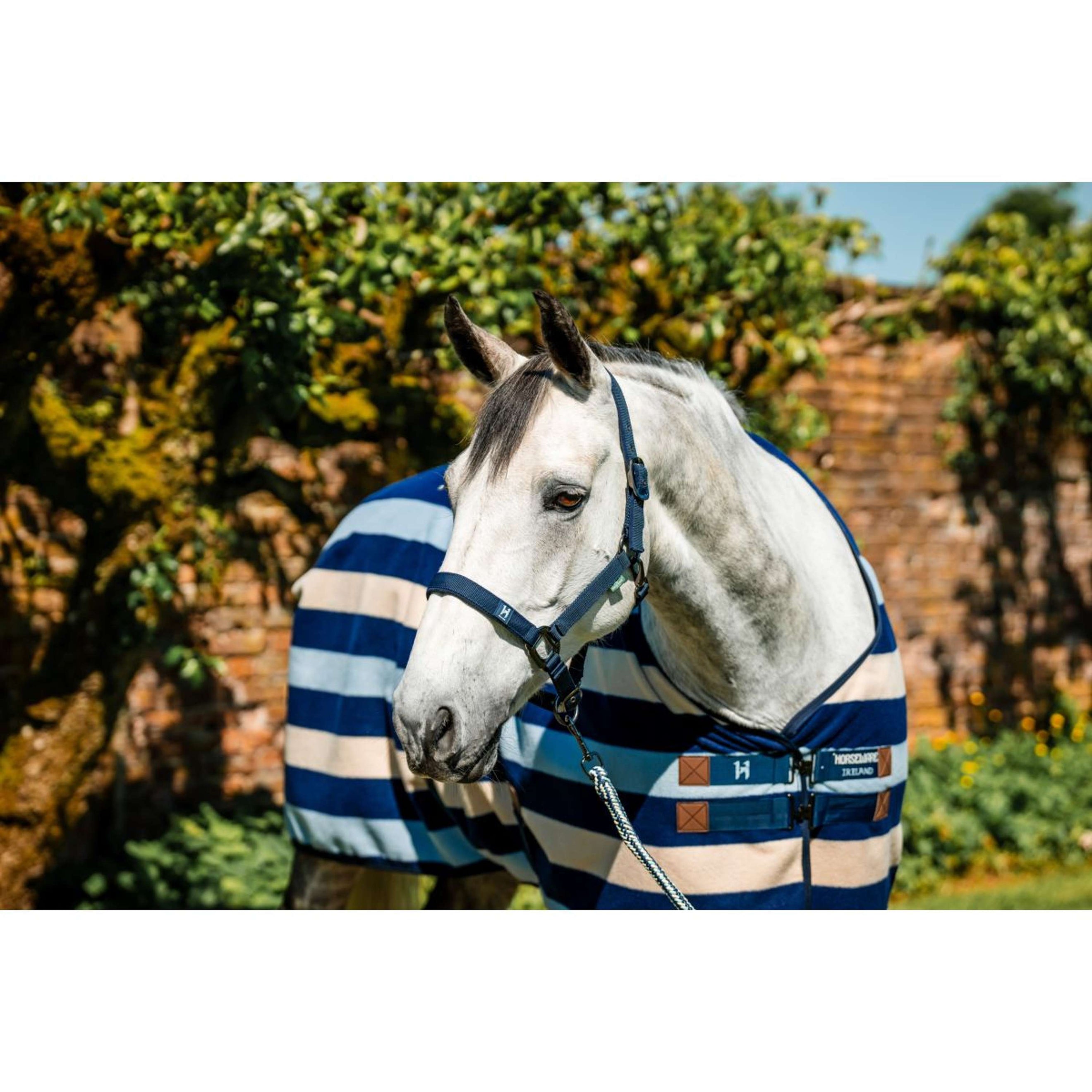 Amigo Licol et Longe Newmarket Witney Navy Amigo Licol et Longe Newmarket Witney Navy