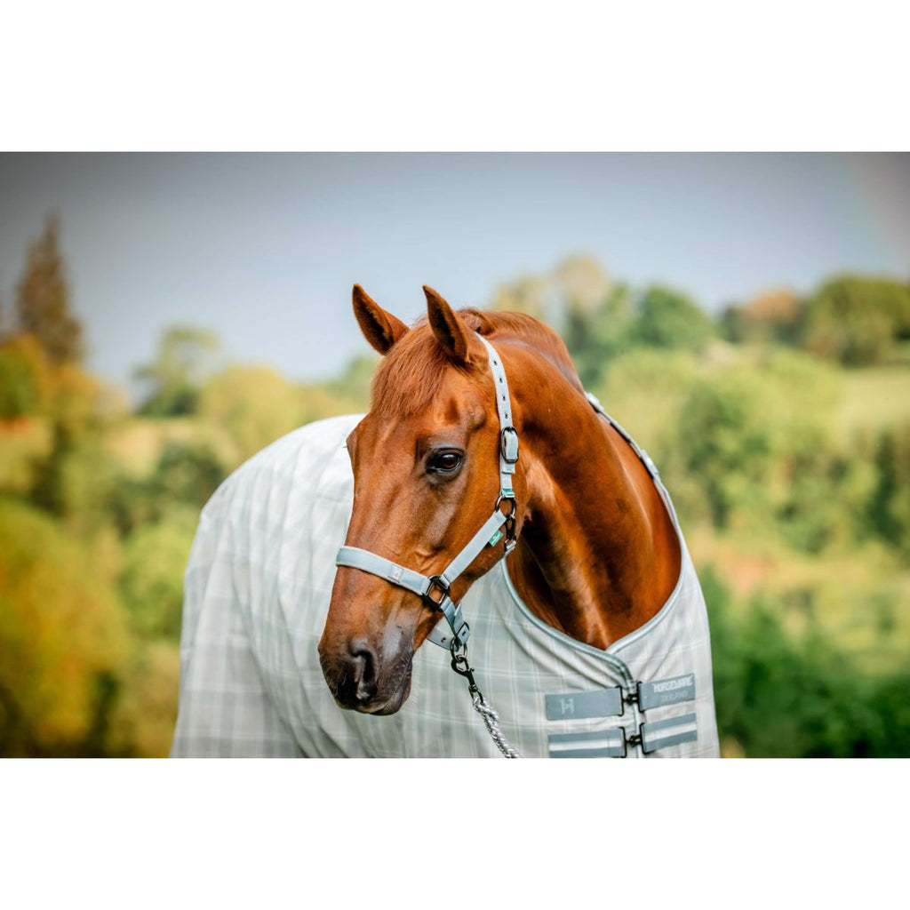 Amigo Licol et Longe Newmarket Witney Charcoal