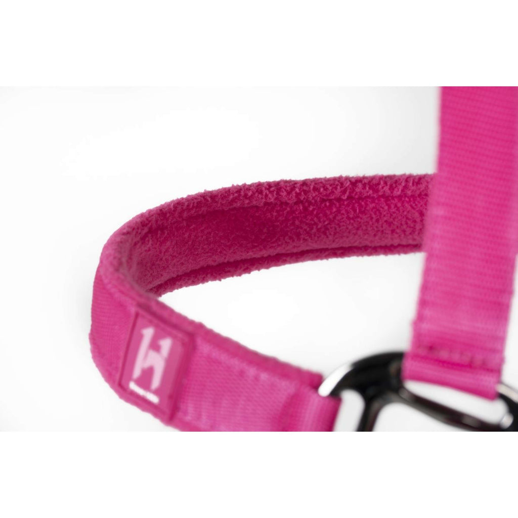 Amigo Licol et Longe Newmarket Witney Pink