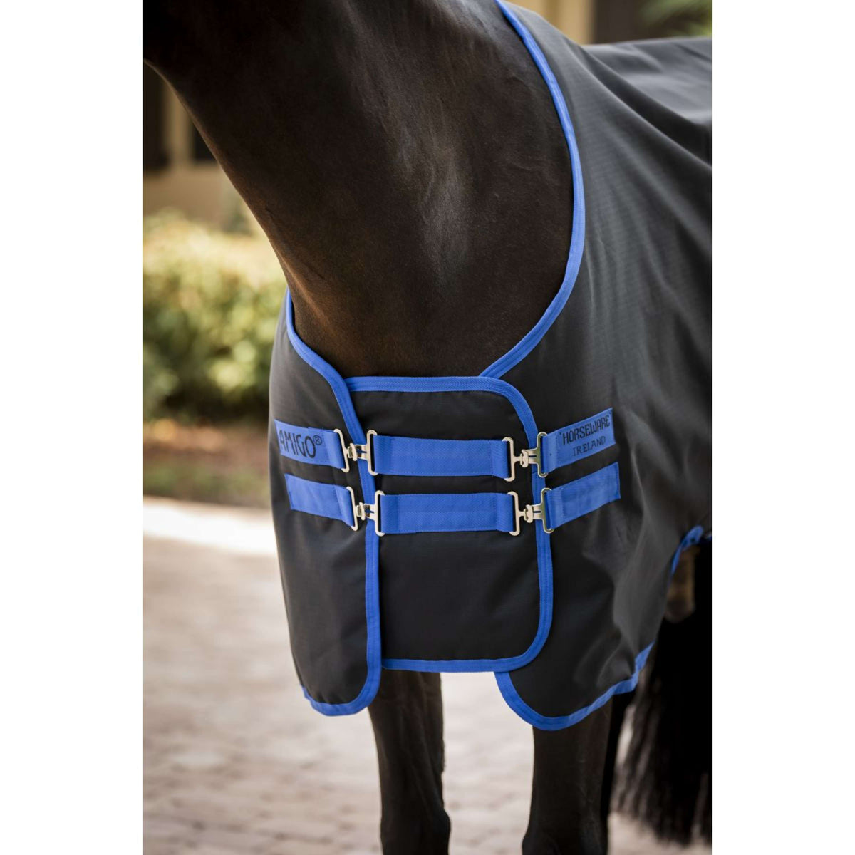Amigo Allonge Black/Classic Blue