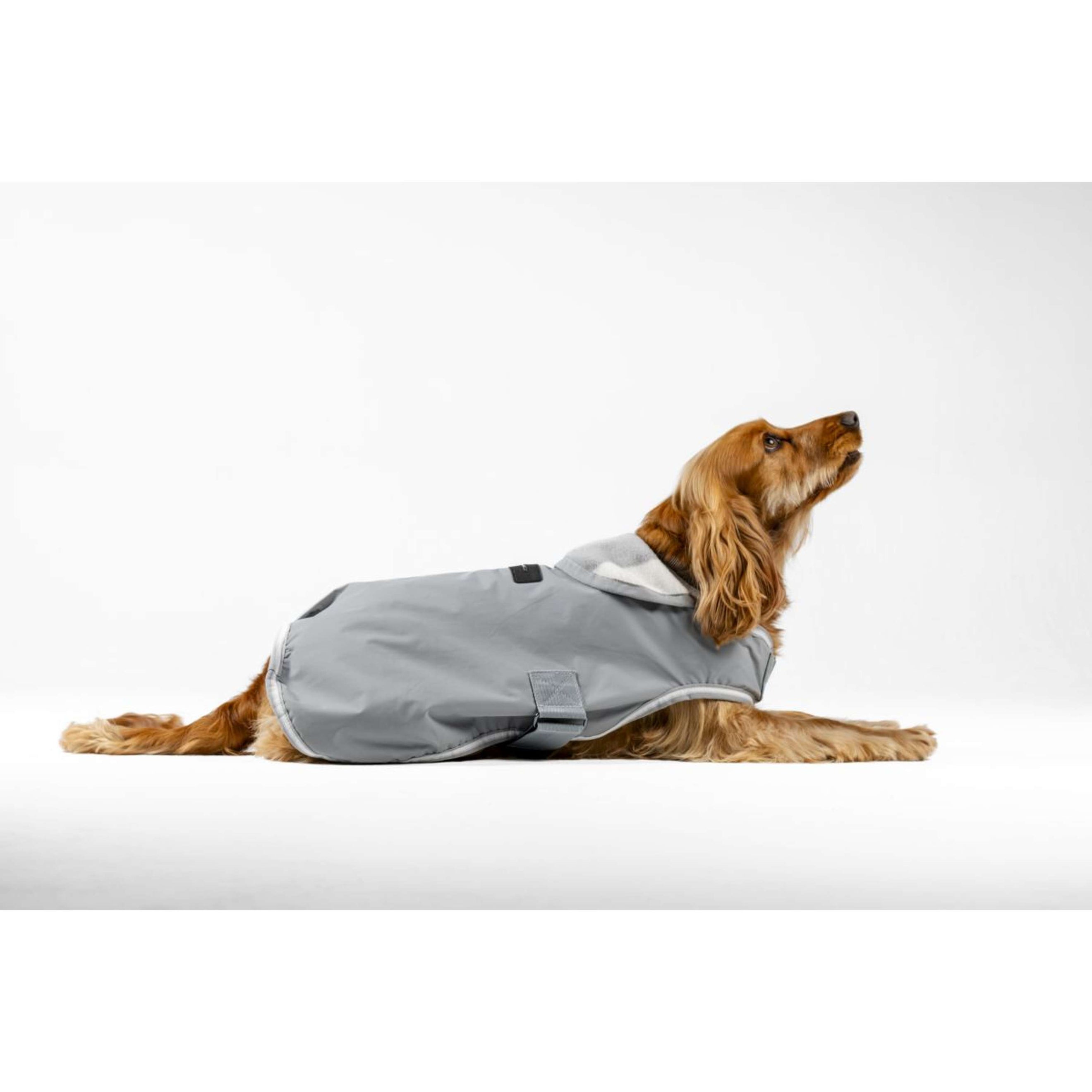 Horseware Couverture pour Chien Newmarket Witney Charcoal Horseware Couverture pour Chien Newmarket Witney Charcoal