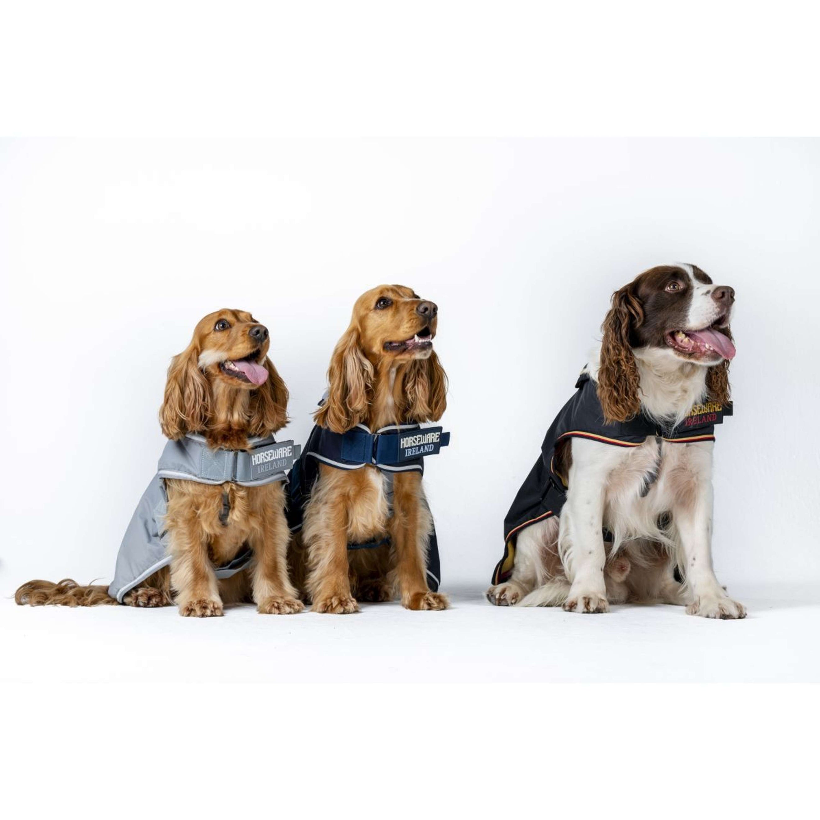 Horseware Couverture pour Chien Newmarket Witney Gold Horseware Couverture pour Chien Newmarket Witney Gold