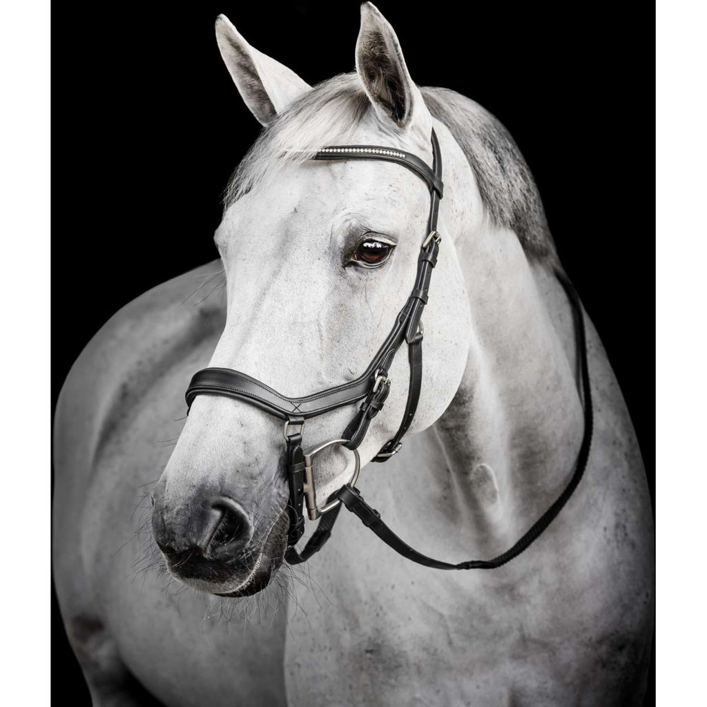 Horseware Micklem Diamante Competition Bridle Noir