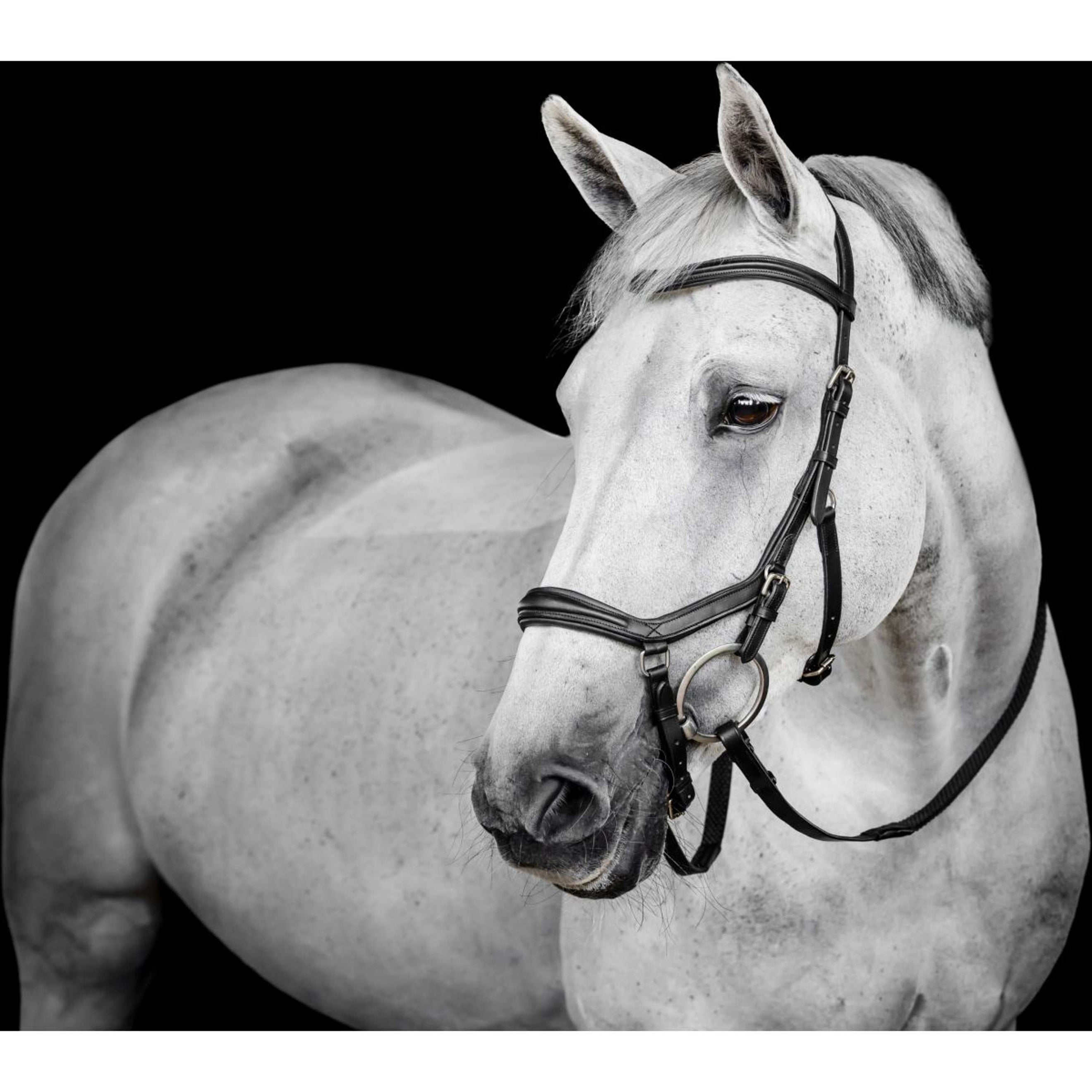 Horseware Micklem Deluxe Competition Bridle Noir Horseware Micklem Deluxe Competition Bridle Noir