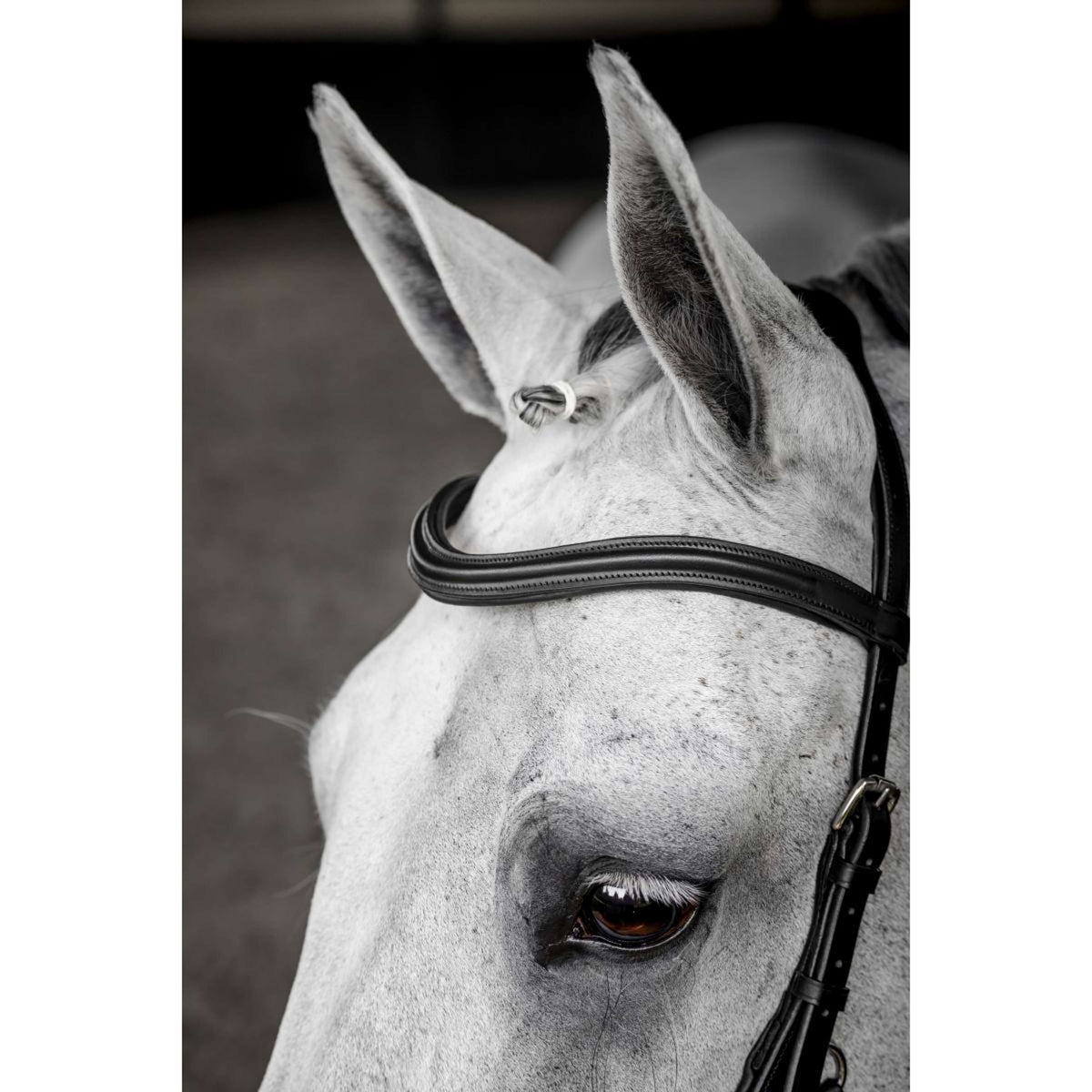 Horseware Micklem Deluxe Competition Bridle Noir