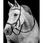 Horseware Micklem Deluxe Competition Bridle Noir