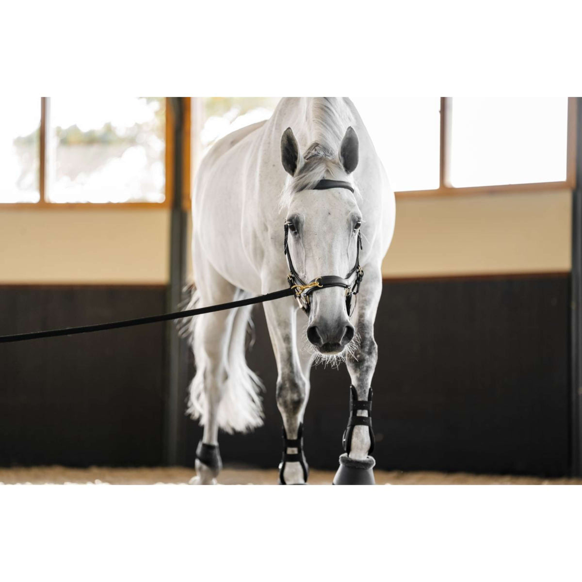 Horseware Micklem Multi Bridle Noir