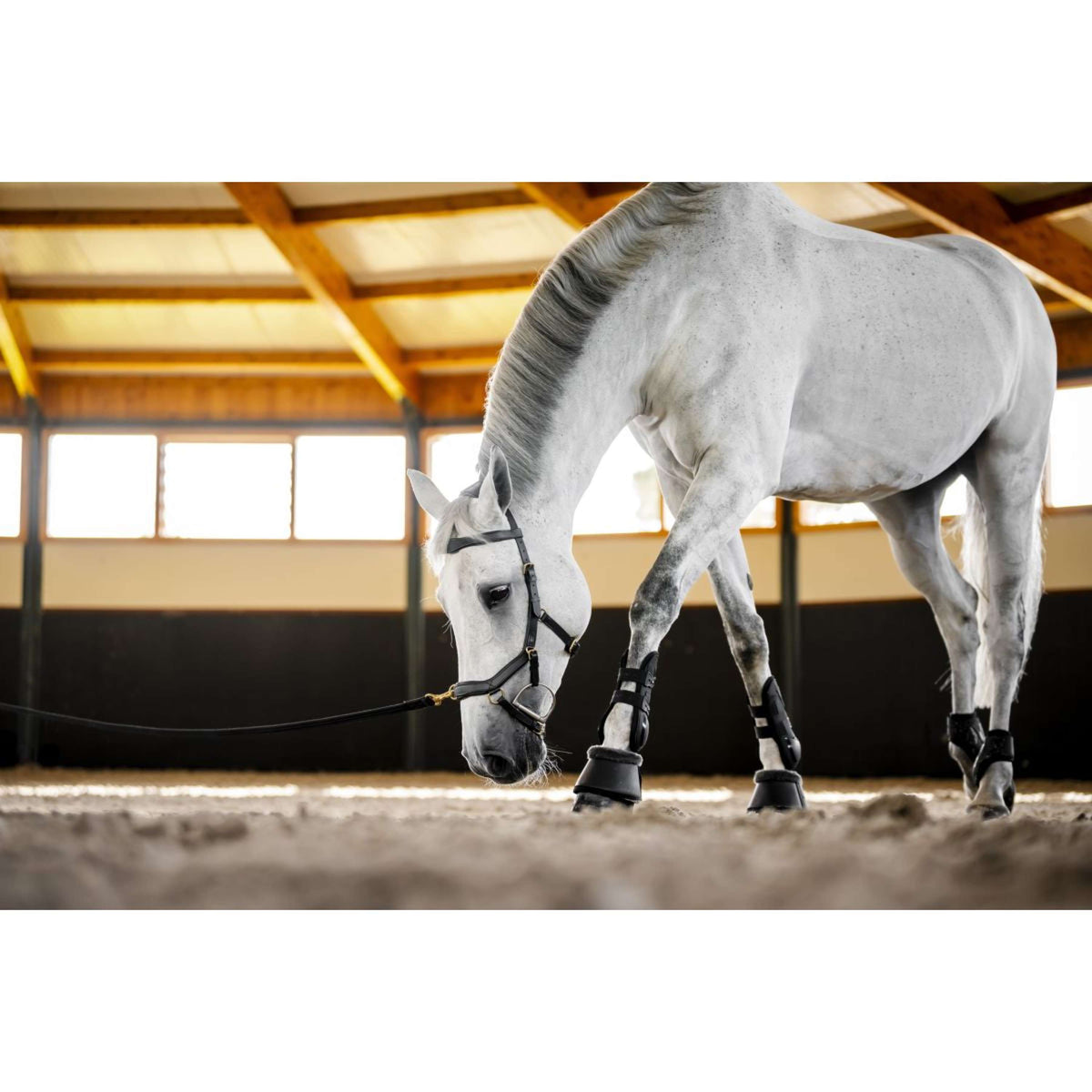Horseware Micklem Multi Bridle Noir