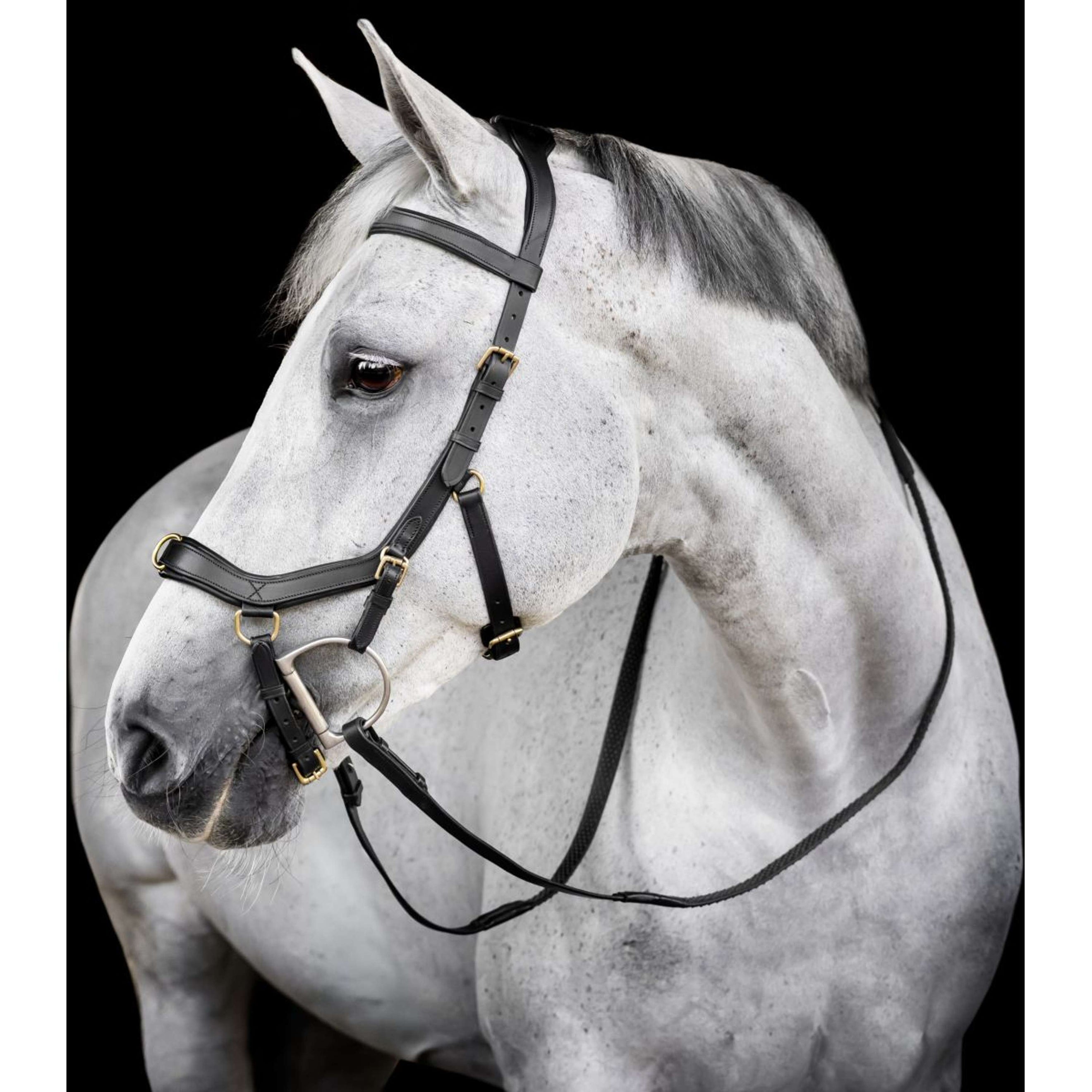 Horseware Micklem Multi Bridle Noir Horseware Micklem Multi Bridle Noir