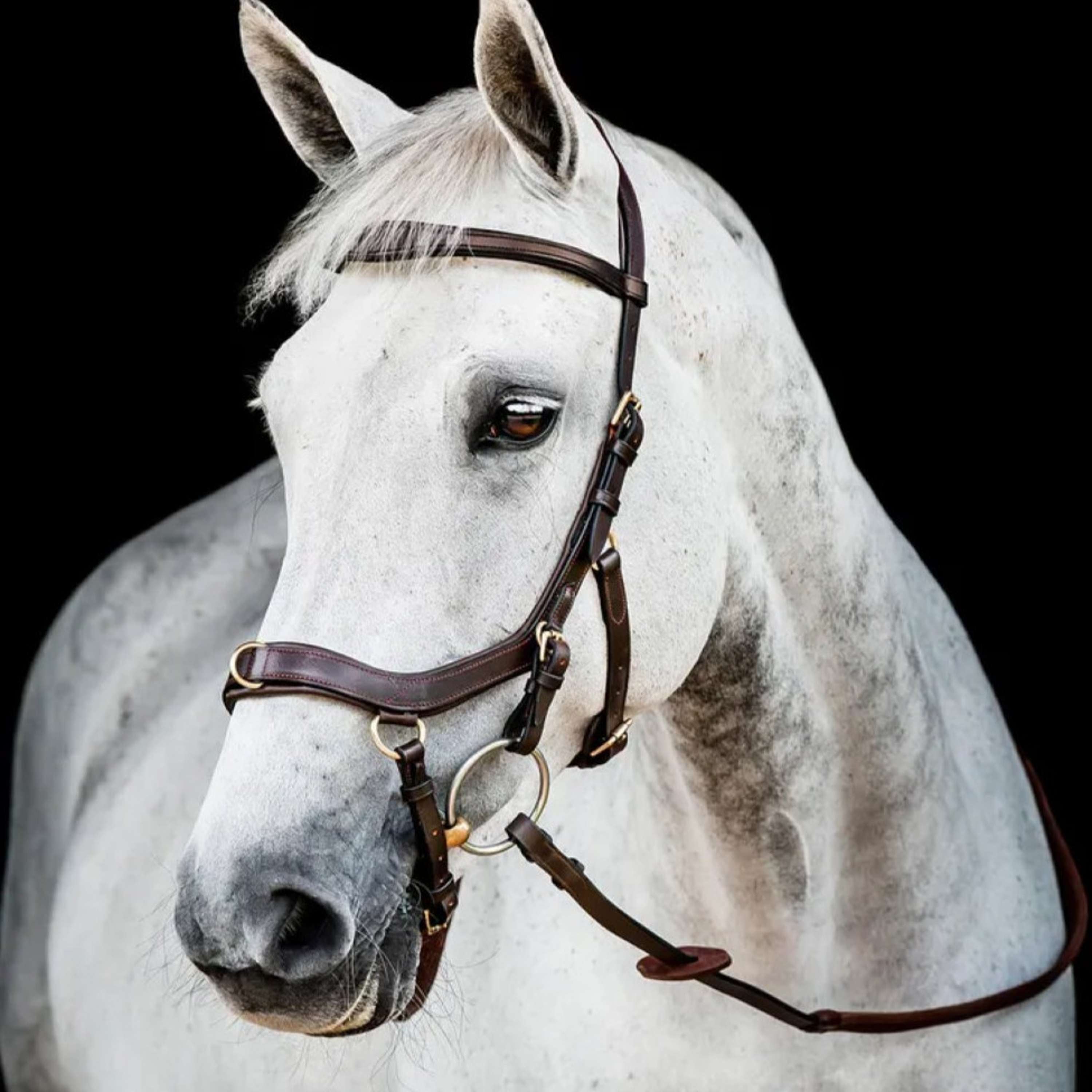 Horseware Micklem Multi Bridle Nouveau Dark Havana