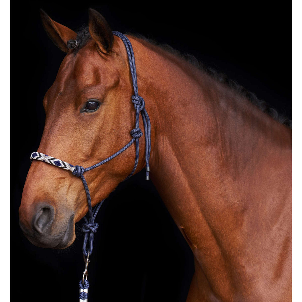 HV Polo Licol en Corde HVPLamu Marin