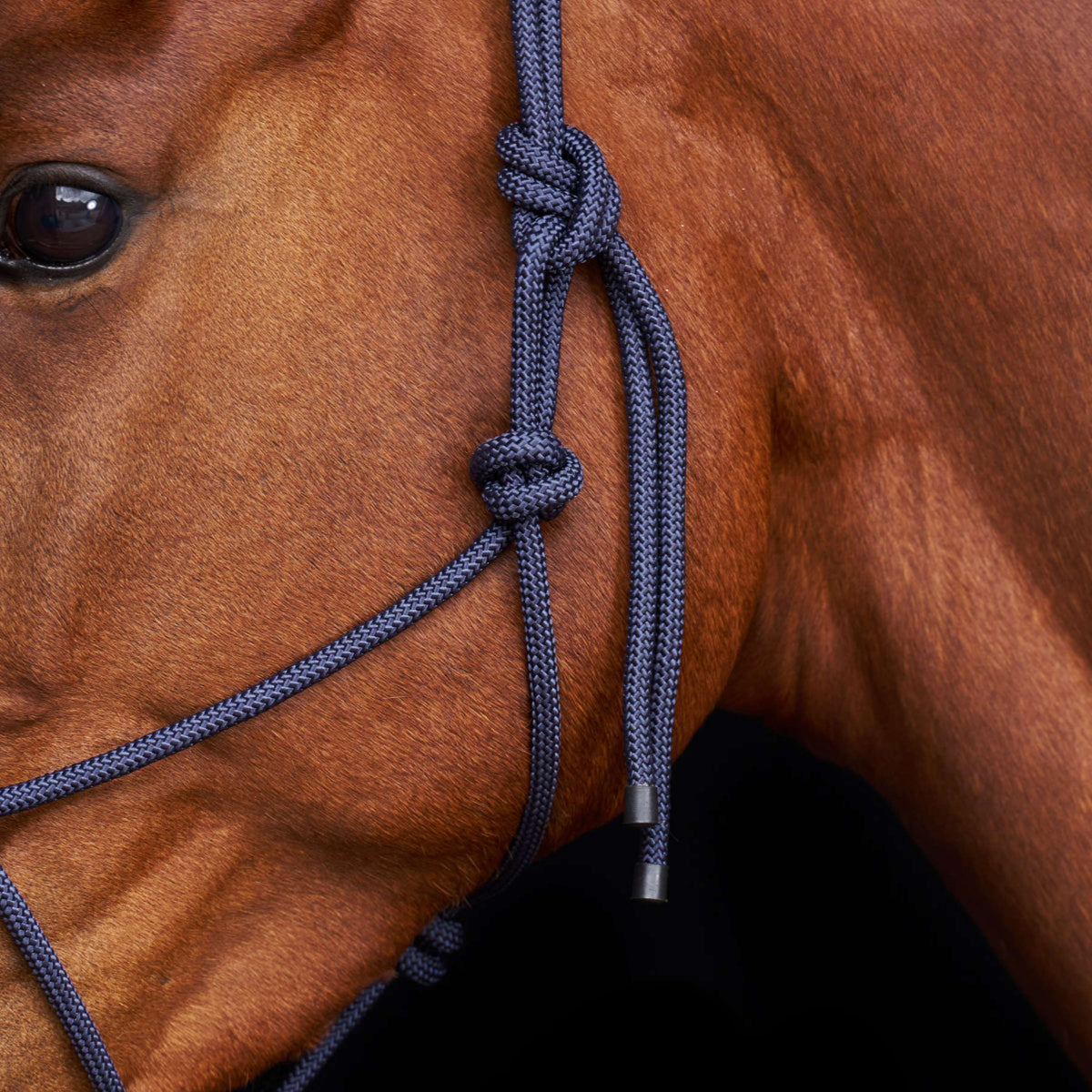 HV Polo Licol en Corde HVPLamu Marin