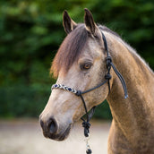 HV Polo Licol en Corde HVPLamu Noir