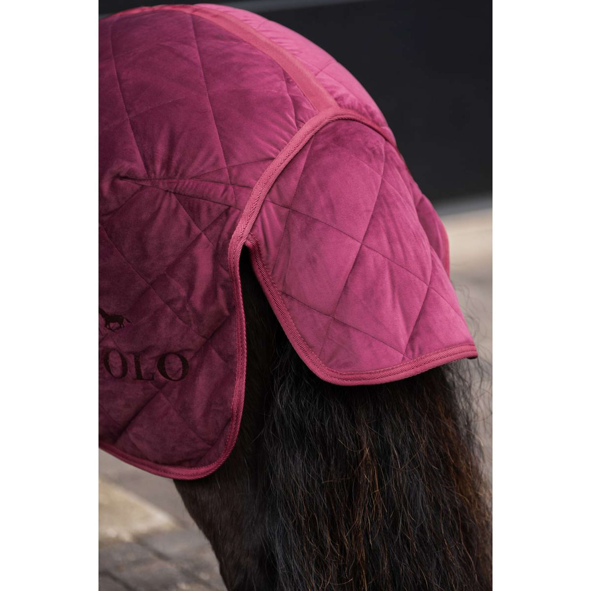 HV Polo Couverture d'Écurie HVPSacha Wine