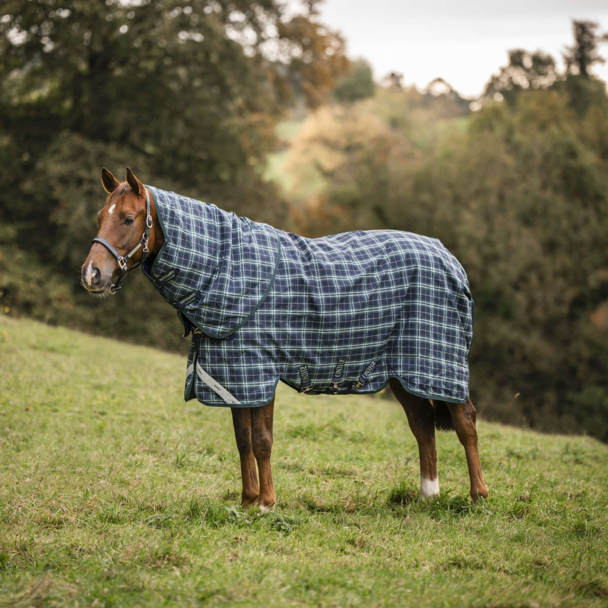 Rhino Turnout Plus 0g Hunter Check/Green/Navy