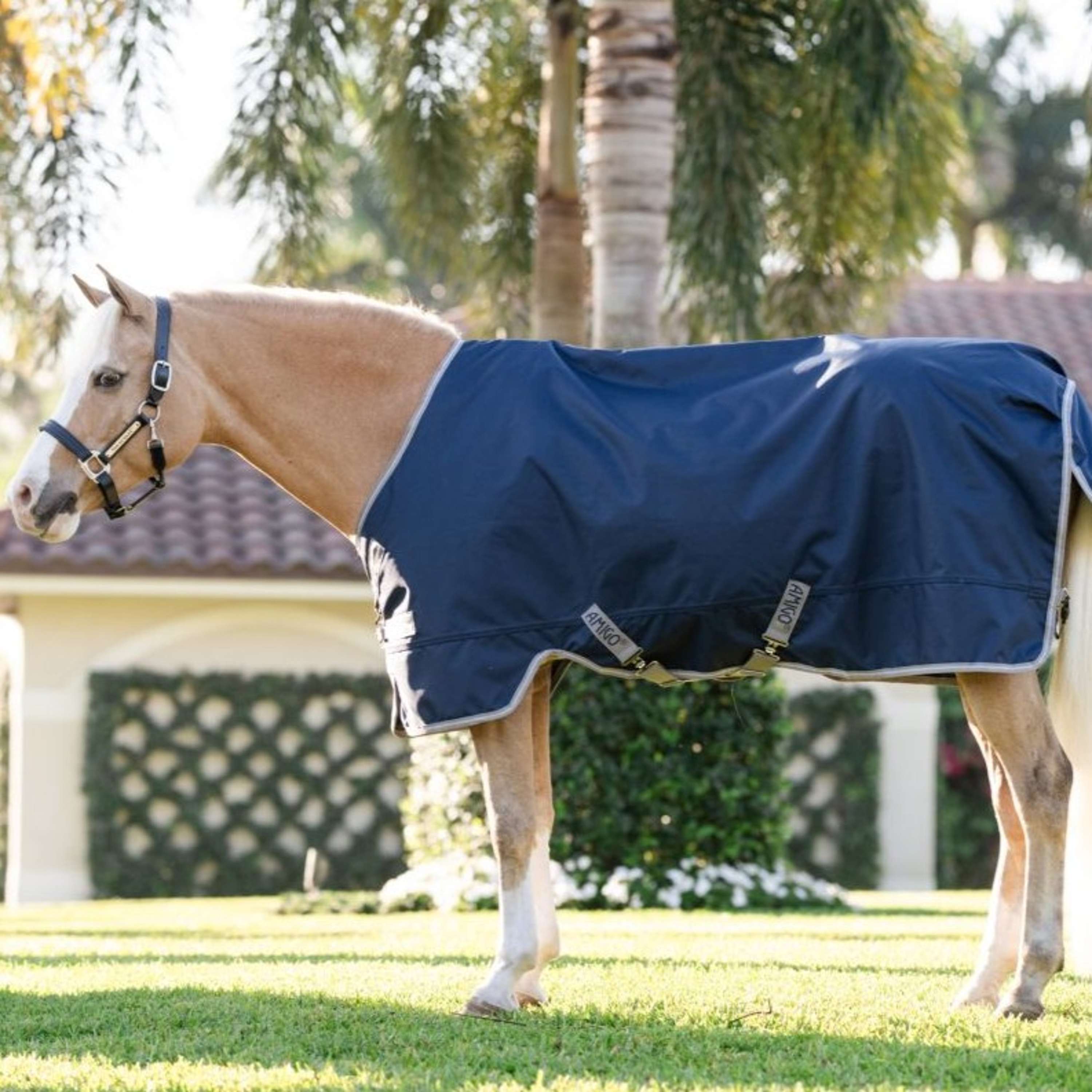 Amigo Chemise Turnout 1200D Pony 50g Marine/Gris Titane/Argent